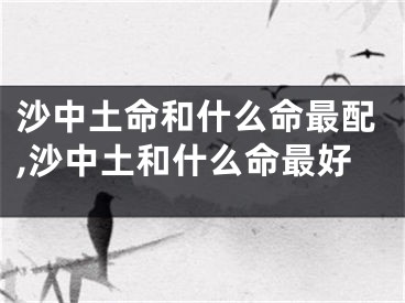 沙中土命和什么命最配,沙中土和什么命最好