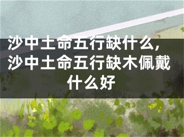 沙中土命五行缺什么,沙中土命五行缺木佩戴什么好