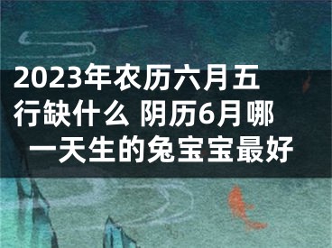 2023年农历六月五行缺什么 阴历6月哪一天生的兔宝宝最好