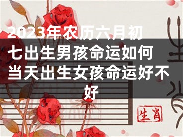 2023年农历六月初七出生男孩命运如何 当天出生女孩命运好不好