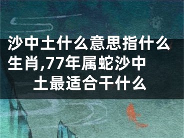 沙中土什么意思指什么生肖,77年属蛇沙中土最适合干什么