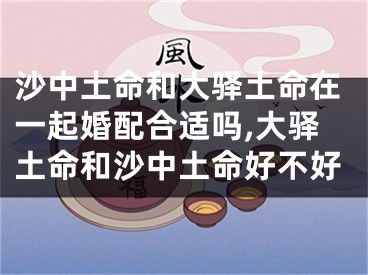 沙中土命和大驿土命在一起婚配合适吗,大驿土命和沙中土命好不好