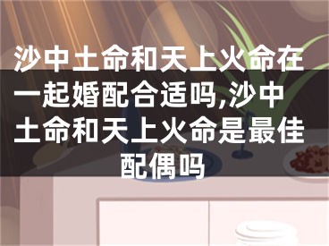 沙中土命和天上火命在一起婚配合适吗,沙中土命和天上火命是最佳配偶吗