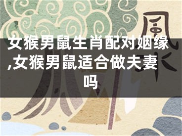 女猴男鼠生肖配对姻缘,女猴男鼠适合做夫妻吗