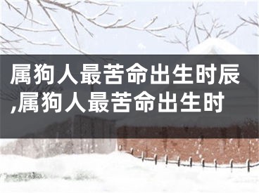 属狗人最苦命出生时辰,属狗人最苦命出生时