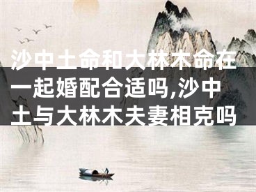 沙中土命和大林木命在一起婚配合适吗,沙中土与大林木夫妻相克吗