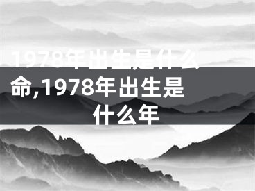 1978年出生是什么命,1978年出生是什么年