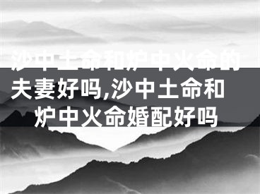 沙中土命和炉中火命的夫妻好吗,沙中土命和炉中火命婚配好吗