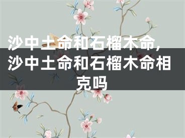 沙中土命和石榴木命,沙中土命和石榴木命相克吗