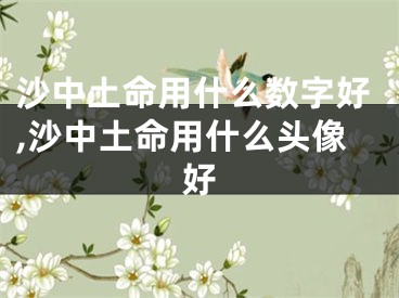 沙中土命用什么数字好,沙中土命用什么头像好