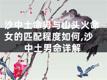 沙中土命男与山头火命女的匹配程度如何,沙中土男命详解