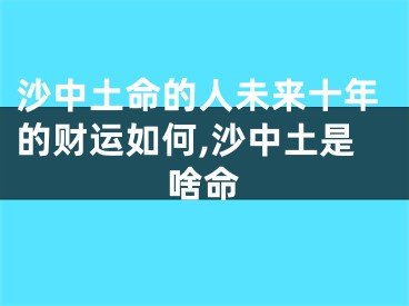 沙中土命的人未来十年的财运如何,沙中土是啥命