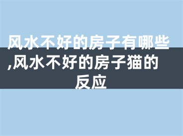 风水不好的房子有哪些,风水不好的房子猫的反应
