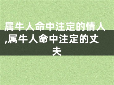 属牛人命中注定的情人,属牛人命中注定的丈夫