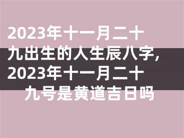 2023年十一月二十九出生的人生辰八字,2023年十一月二十九号是黄道吉日吗