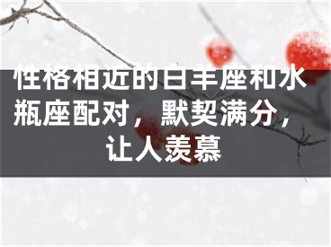 性格相近的白羊座和水瓶座配对，默契满分，让人羡慕