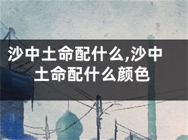沙中土命配什么,沙中土命配什么颜色