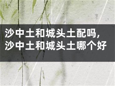 沙中土和城头土配吗,沙中土和城头土哪个好