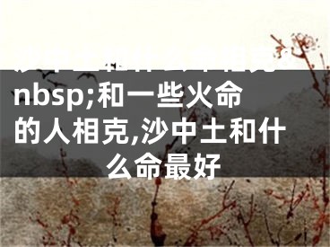 沙中土和什么命相克&nbsp;和一些火命的人相克,沙中土和什么命最好