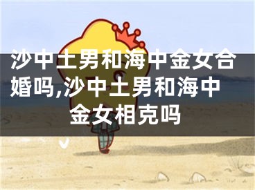 沙中土男和海中金女合婚吗,沙中土男和海中金女相克吗
