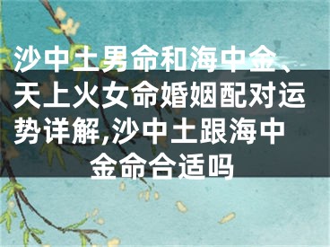 沙中土男命和海中金、天上火女命婚姻配对运势详解,沙中土跟海中金命合适吗