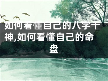 如何看懂自己的八字十神,如何看懂自己的命盘