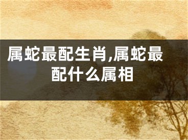 属蛇最配生肖,属蛇最配什么属相