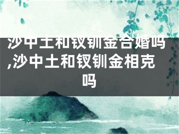 沙中土和钗钏金合婚吗,沙中土和钗钏金相克吗