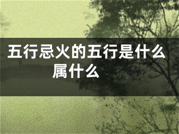 五行忌火的五行是什么 属什么 