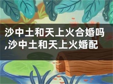 沙中土和天上火合婚吗,沙中土和天上火婚配
