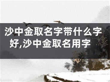 沙中金取名字带什么字好,沙中金取名用字