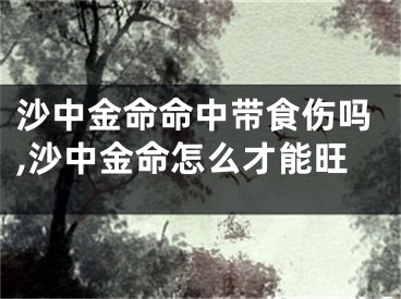 沙中金命命中带食伤吗,沙中金命怎么才能旺