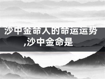 沙中金命人的命运运势,沙中金命是