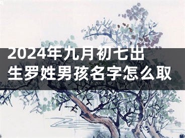 2024年九月初七出生罗姓男孩名字怎么取