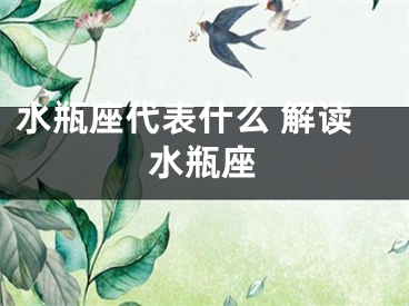 水瓶座代表什么 解读水瓶座