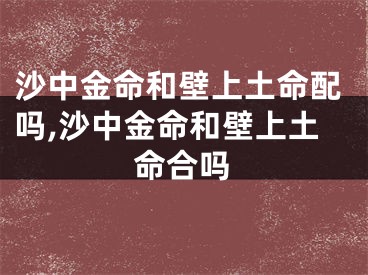 沙中金命和壁上土命配吗,沙中金命和壁上土命合吗
