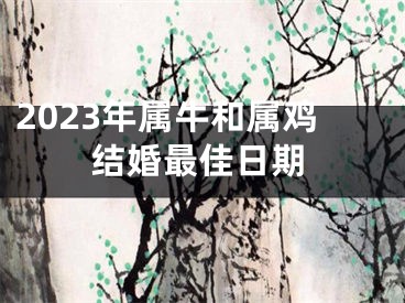2023年属牛和属鸡结婚最佳日期