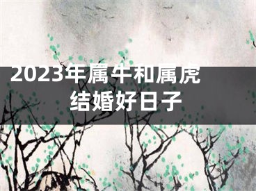 2023年属牛和属虎结婚好日子