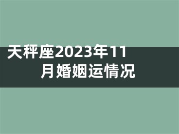 天秤座2023年11月婚姻运情况