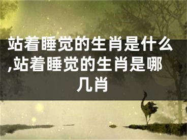 站着睡觉的生肖是什么,站着睡觉的生肖是哪几肖