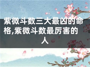 紫微斗数三大最凶的命格,紫微斗数最厉害的人