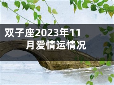 双子座2023年11月爱情运情况