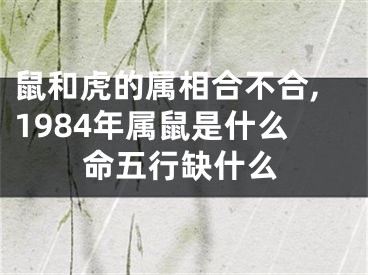 鼠和虎的属相合不合,1984年属鼠是什么命五行缺什么