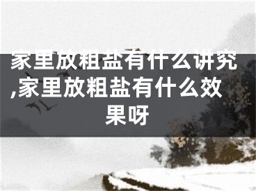 家里放粗盐有什么讲究,家里放粗盐有什么效果呀
