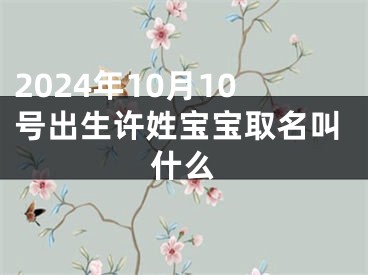 2024年10月10号出生许姓宝宝取名叫什么