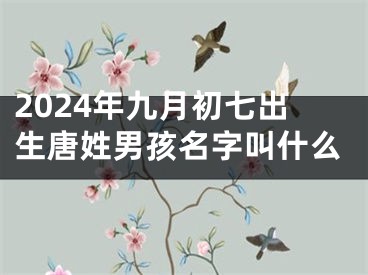 2024年九月初七出生唐姓男孩名字叫什么