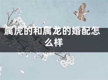 属虎的和属龙的婚配怎么样