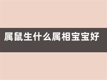 属鼠生什么属相宝宝好