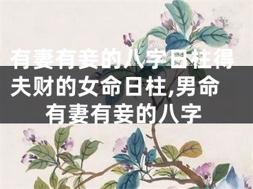 有妻有妾的八字日柱得夫财的女命日柱,男命有妻有妾的八字