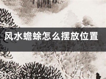 风水蟾蜍怎么摆放位置